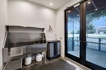 Pet Washing and Grooming Station